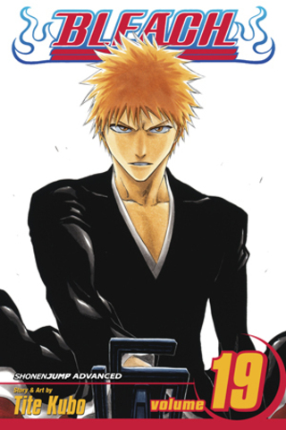 Bleach. Vol. 19 (На английском языке)