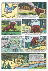 The True Story of Smokey Bear
