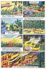 The True Story of Smokey Bear