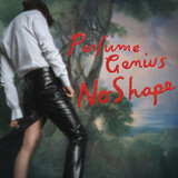 PERFUME GENIUS: No Shape (Виниловая пластинка)