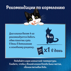 Felix пауч для кошек суп (курица) 48 г