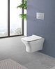 BelBagno BB248CHR-SM Унитаз подвесной безободковый со скрытым креплением, цвет: белый
