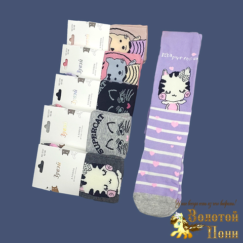 Колготки хлопок девочке (1-8) 230927-N-3731