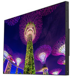Панель LCD EliteBoard SK555FCLN