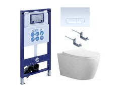 Aquatek Set Aquatek АУРА INS25/KDI13 Set Aquatek АУРА INS25/KDI13 (рама Aquatek INS-0000025+ крепеж KKI-0000002 +кнопка KDI-0000013+унитаз AQ1805T-00) фото