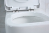 BelBagno Veneto BB132CHR/BB132SC Унитаз подвесной, цвет: белый