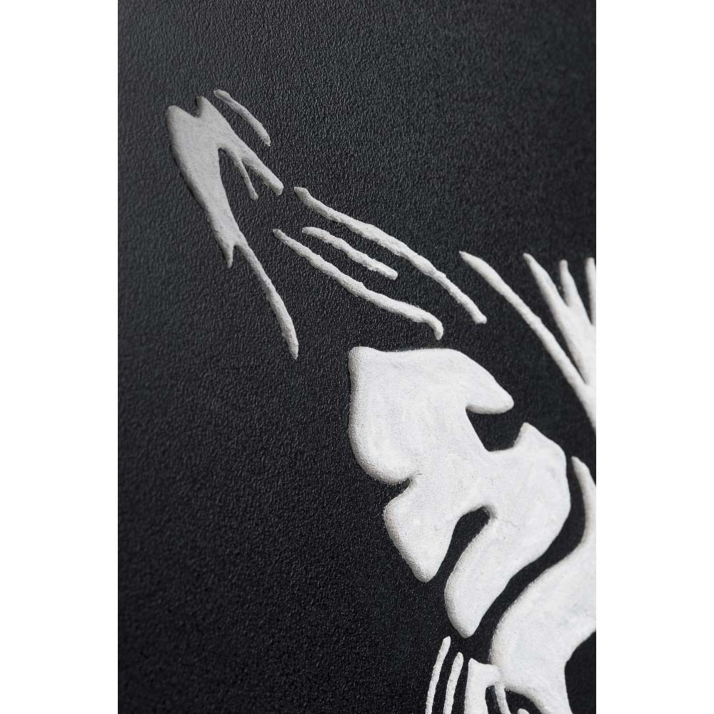 Зебра