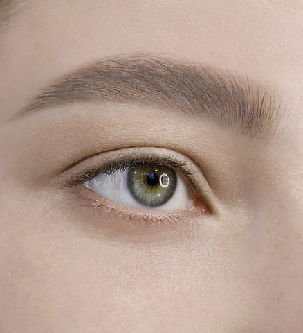 Brow Tint Гель-тинт для бровей водостойкий waterproof 24H тон 101 Taupe 5г Lux Visage — фото 3