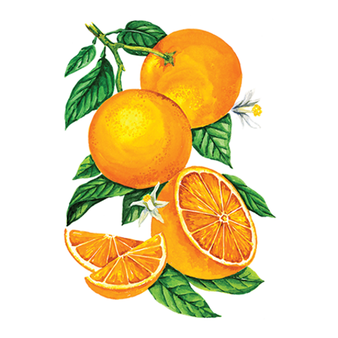Сироп Апельсин ProffSyrup