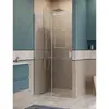 BelBagno SOFT_CLOSE-2-BF-1-100-C-Cr Душевая дверь
