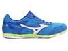 Марафонки для бега мужские Mizuno Wave Ekiden 10 синие - 1