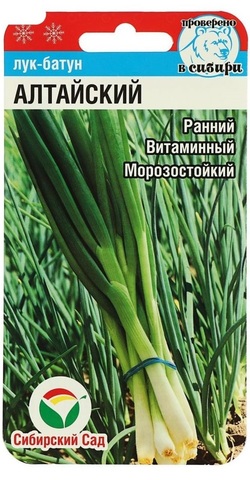 Семена Лук батун Алтайский