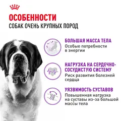 Royal Canin Giant Adult Сухой корм для собак гигантских пород 20 кг