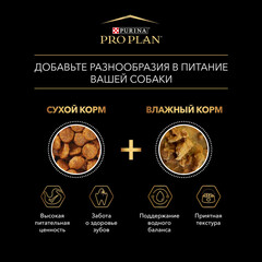 ПРОМО! Pro Plan набор паучей для взрослых собак (лосось,утка) 10х85 г