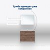 Aquanet 344130 Тумба Алвита new 100 напольная 2 ящ. цв.дуб веллингтон табак (344130)