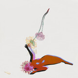 FUTURE ISLANDS: The Far Field (Виниловая пластинка)