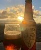 Oak Aged Blond Ale on tap