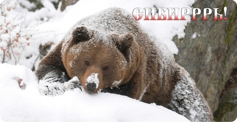 Урал Сувенир - Кружка Тюмень керамика 300 мл №0022
