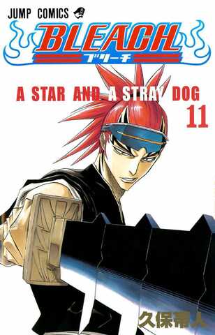 Bleach Vol. 11 (На Японском языке)