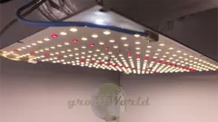 В110хД50хШ50 LED 120w Stealth ГроуБокс - Музыкальная Колонка