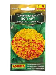 Цинния Поп арт голд ред страйпс (Аэлита)