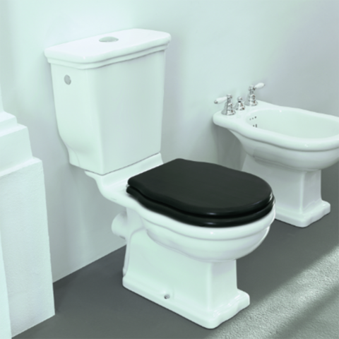 ArtCeram Hermitage HEV004 01 00 Унитаз моноблок, цвет: белый