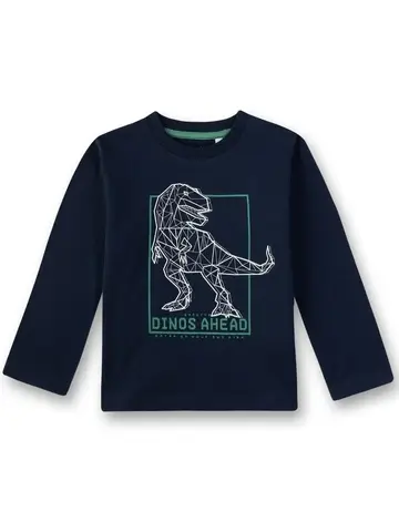 Лонгслив с динозавром Sanetta KIDSWEAR