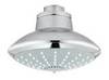 GROHE Euphoria 27247001 Душ верхний