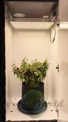 В140хД50хШ50 ГроуБокс-TOWER / Колонка 120w Samsung lm281b