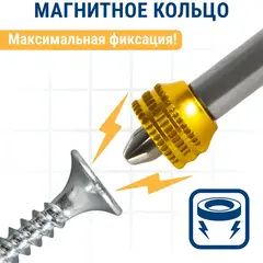 Бита отверточная ПРАКТИКА Профи PZ-2 х 110 мм с магнитным кольцом (915-649)