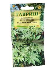 Клещевина Занзибар Грин (Гавриш)