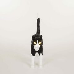 Настольная лампа Jobby The Cat Black and White