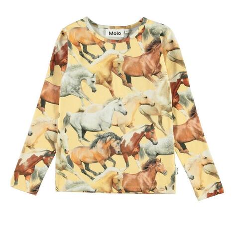 Лонгслив Molo Rose Horse Dreams
