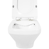 BelBagno Sela BB3201CHR/BB3201SC Унитаз подвесной безободковый, цвет: белый