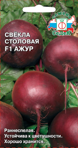 Семена Свекла Ажур F1