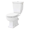 ArtCeram Hermitage HEV008 01 00 BI Унитаз моноблок, цвет: белый