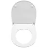 Roca Victoria 801392002 Крышка лакированная soft close для унитаза тонкое, быстрое снятие, стальные петли