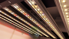 В150хД100хШ60 ГроуБокс FLASHER 200W LED SUPERSILENT