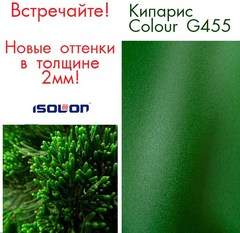кипарис