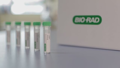 66128 Диск Ампицилин (Ampicillin). 