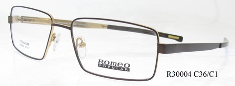 R30004