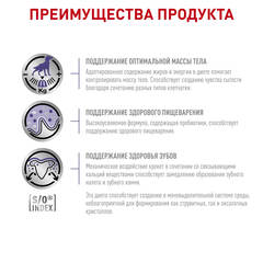 Royal Canin Neutered Adult Small Dog сухой корм для кастрированных собак мелких пород 800г