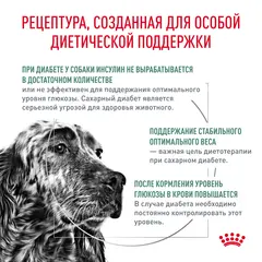 Royal Canin Diabetic DS37 12 кг