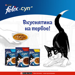 Felix пауч для кошек суп (говядина) 48 г