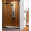 Radaway Premium Plus DWD 33353-01-01N Дверь душевая в нишу раздвижная 141,5х190 см