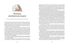 Кабинет редкостей – анатомических, медицинских и жутких