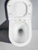 Aquatek SET Aquatek ЛИБЕРТИ-038 4в1 SET Aquatek ЛИБЕРТИ-038 4в1 (рама Aquatek Standard INS-0000012+крепёж KKI-0000002+клавиша KDI-0000038+унитаз ЛИБЕРТИ AQ1999T-00 с тонким сиденьем sc)