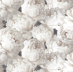 Обои 585338 Peony/Пион Victoria Stenova