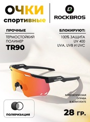 Очки спортивные Rockbros Polaric 14110013006