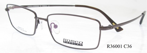 R36001